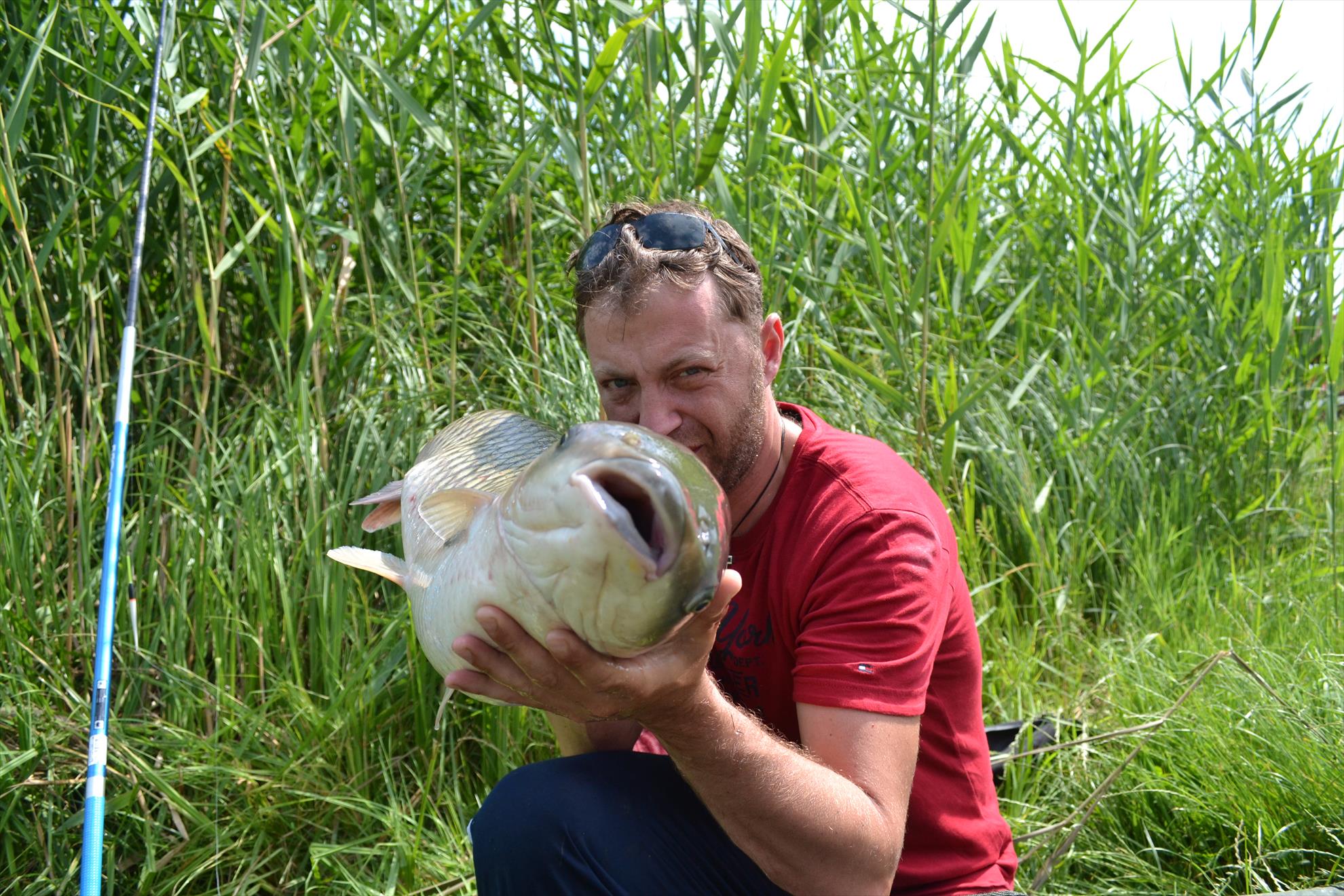 Pescuit Balta Lazar 6-8 iunie 2014 - dsc0063.JPG